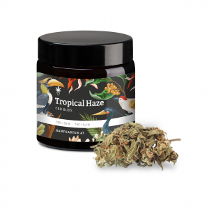 Tropical Haze Premium CBD Blüten